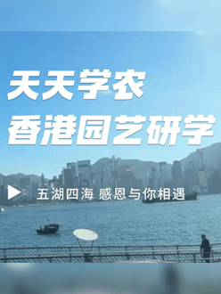 与香港园艺学会联合举办香港园艺研学，专业园境师带队讲解。