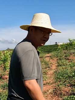 农业人叶涛，50多岁通讯人跨界搞农业，他要用1000万打造一个梦。